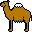 Camel.ico